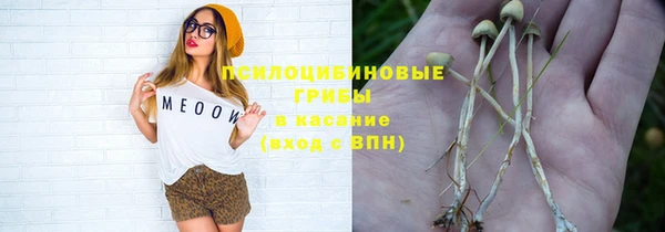 винт Алексин