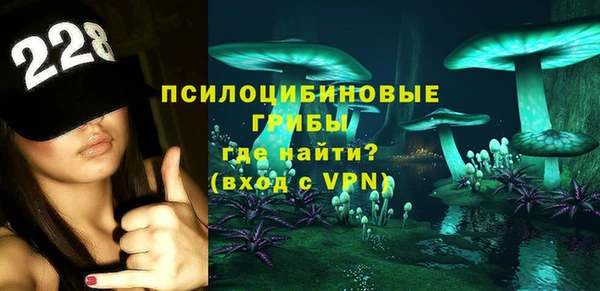 винт Алексин