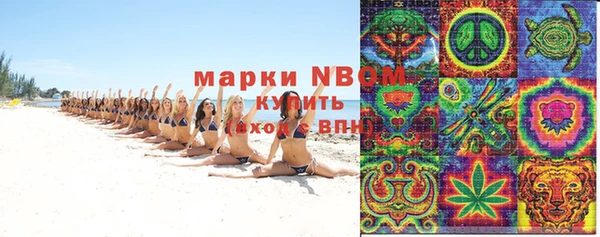 сатива Алексеевка