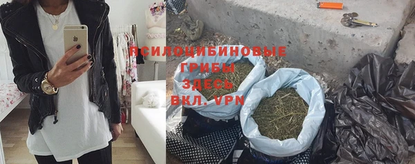 сатива Алексеевка