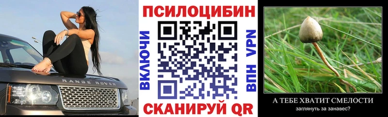 Галлюциногенные грибы Cubensis  Боровск 